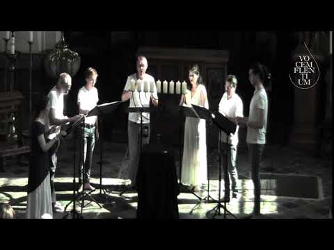 Ego Flos Campi   Vocem Flentium AlbaNova 2019