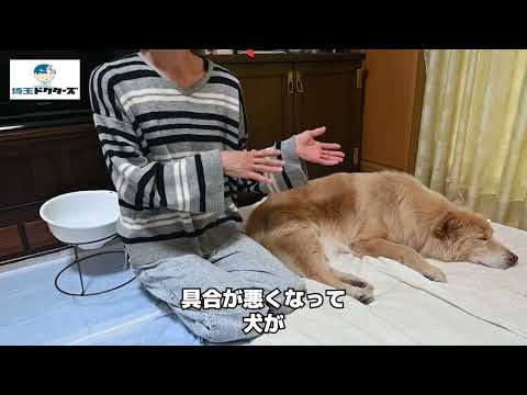 飼い主女性の声