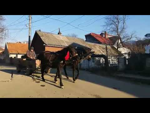 In Rakhiv, Ukraine. 31 December 2019