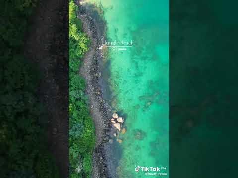 jungle beach in sri lanka 🇱🇰