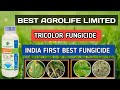 Best Agrolife limited ।। TRICOLOR FUNGICIDE ।।Best Fungicide।। New fungicide।।