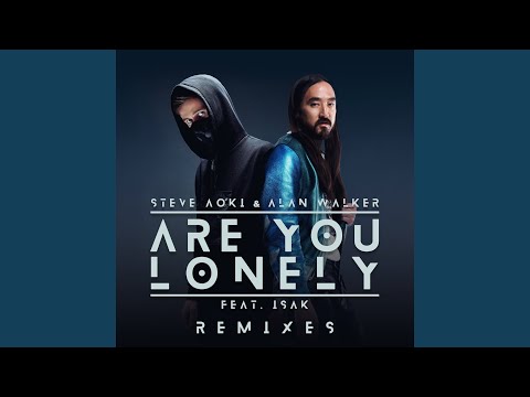 Video thumbnail for Are You Lonely (Steve Aoki Remix)
