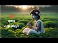 Krishna S Flute बांसुरी Morning Flute Yoga Music Indian Relaxing Flute Positive Energy