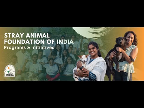 A Better Life For India's Stray Animals