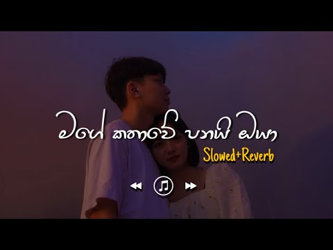 Mage Kathawe Panai Oya - මගේ කතාවේ පනයි ඔයා (Slowed+Reverb)