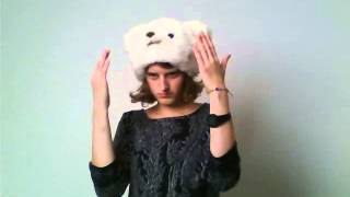 Denali - Run Through