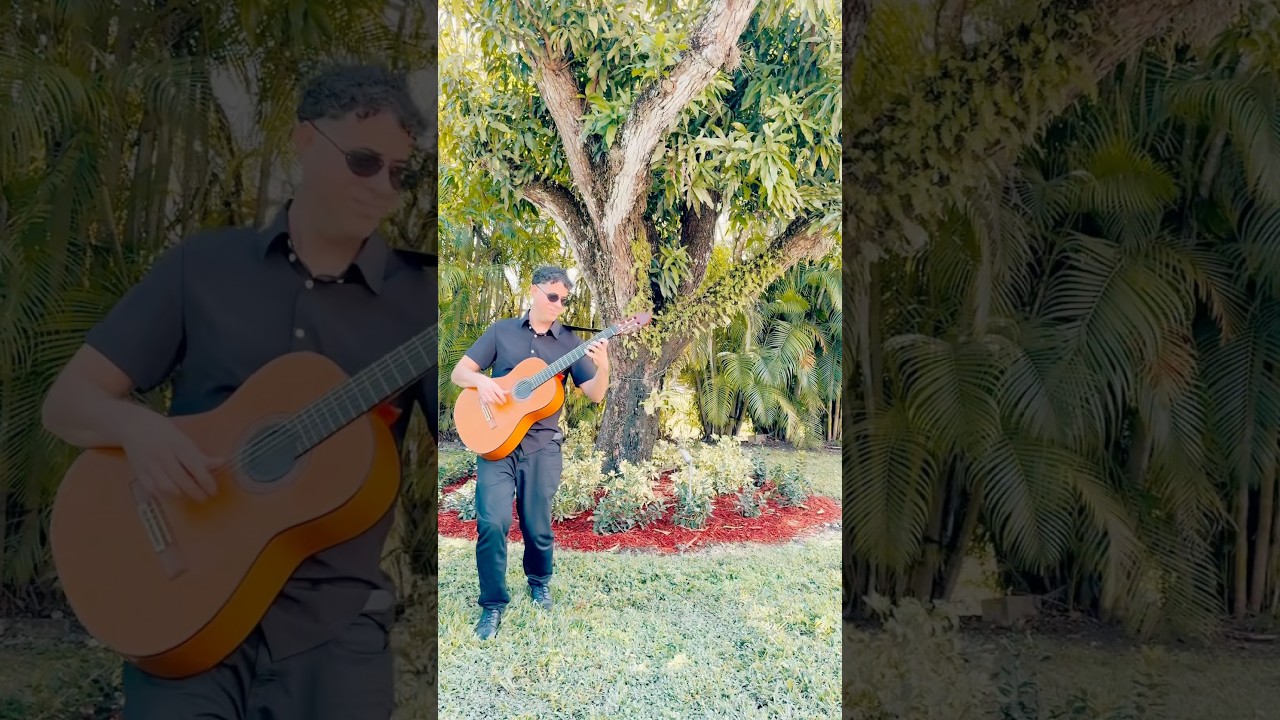 Promotional video thumbnail 1 for Javier Suarez Guitarist