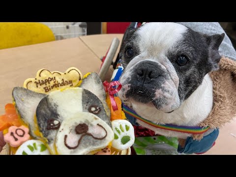 #ハッシュタグ:10歳のお誕生日おめでとう