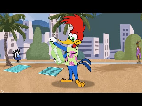 Capa de Pica-Pau | Aventuras no Brasil | Desenhos Animados em Português