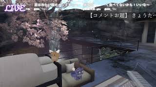🔴LIVE CAMERA　ウズネコ　2026.07.08【占い】
