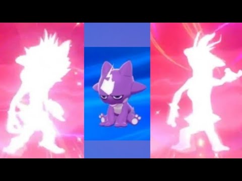 Toxel si evolve in Toxtricity  - Pokémon Spada e Scudo