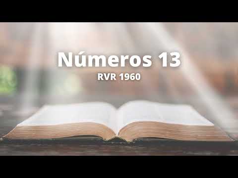Numbers 13 - Reina Valera 1960 (Audio Bible)