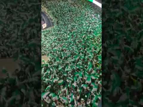 Vamos Torcida Apoiar O Palmeiras - Michael Ramos