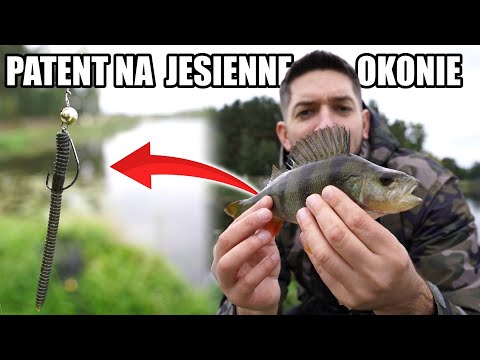 PATENT który da CI OKONIE JESIENIĄ