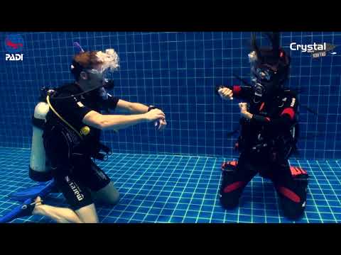 How to Do the Five Point Ascent 🥽 PADI IDC Skills Dive Instructor