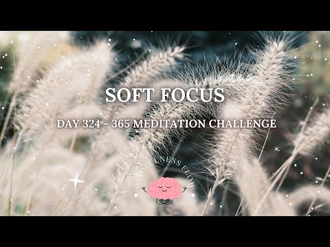 365 Days Meditation Challenge | Day 324 - Soft Focus 🍂