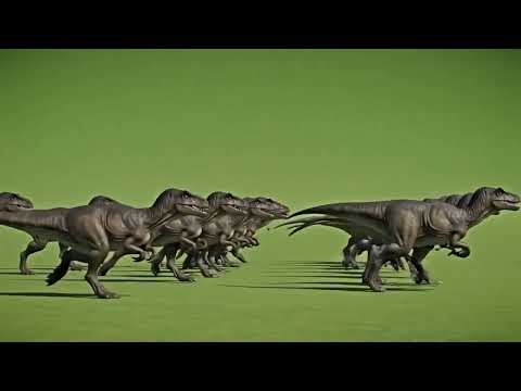 Crocodile Green Screen VFX || Angry Crocodile Overlay 4K