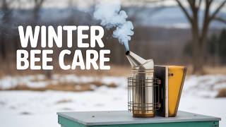 This Mistake Kills Most Beehives in Winter | Hive Inspections & What I Saw