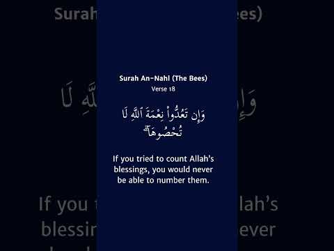 Countless blessings from the Creator - Muhammad Siddiq al-Minshawi | English Translation