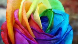 Kenny G - Do not Know Why Ft. David Benoit