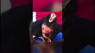 Download lagu Gadis itu mencium ular #shorts #youtube #viral #snake mp3