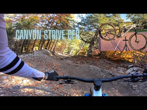 CANYON STRIVE CFR vs DOLOMITI PAGANELLA BIKE PARK 2022 | (Raw video Laps)