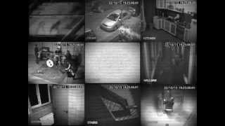 Mxrcxl - Shit for Brains