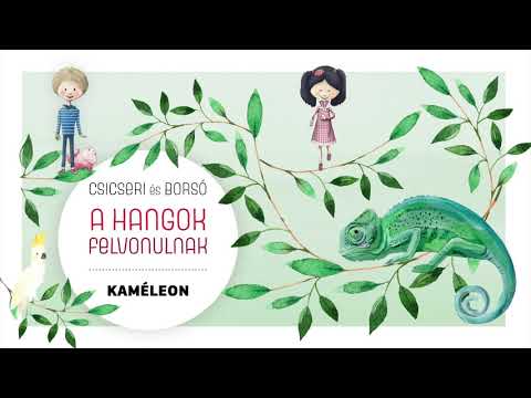 Csicseri és Borsó – A hangok felvonulnak – Kaméleon – gyerekzene