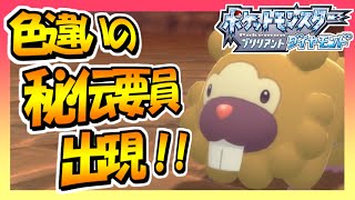 【ポケモンBD】地下大洞窟探検してたら色違いの秘伝要員が出現した！ｗｗ【ポケットモンスターブリリアントダイヤモンド】