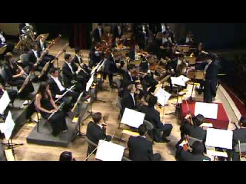 Maestro Henrique Vieira - Sibelius Symphony Nr. 2. 4th Movement Parte 1