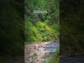 Uttrakhand Status Reels Village