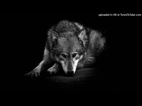 Kontra K x Juju x Xavier Naidoo - Freiheit ( Remix )