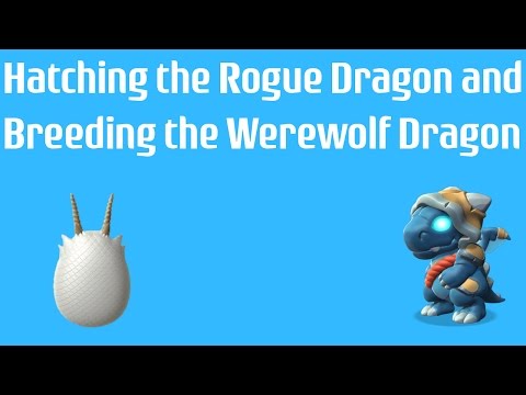 Hatching the Rogue Dragon & Breeding The Werewolf | Dragon Mania Legends #8
