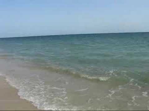 Liliana Felipe / La maldita circunstancia