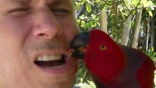 BIRD BITE ON MY FACE!!! Brian Barczyk