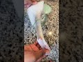 Daughter Banned From Making Slime Makes 3 Homemade Slimes Shorts
