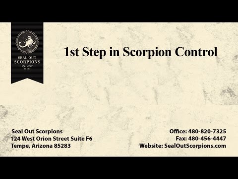 Videos from Seal Out Scorpions