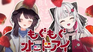 【いちごオフコラボ】夏を迎える前においしいイチゴを食べておきたいよねぇ #もぐもぐオッドアイ 【戌亥とこ/石神のぞみ/にじさんじ】