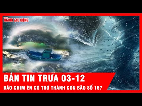 Điểm nóng trưa: Bão Chim Én có vào Biển Đông?; Miền Trung đối mặt áp thấp suy yếu ra sao? | Thời sự