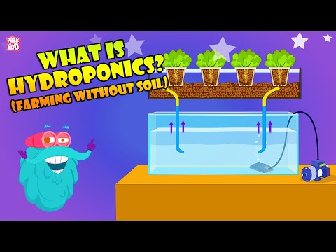 , title : 'How To Grow Plants Without Soil? | Hydroponic Farming At Home | The Dr Binocs Show | Peekaboo Kidz'