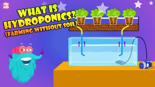 How To Grow Plants Without Soil? | Hydroponic Farming At Home | The Dr Binocs Show | Peekaboo Kidz