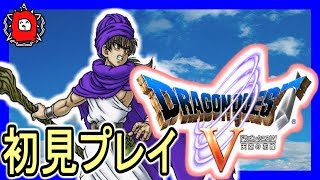 【DQ5】ドラゴンクエストⅤ天空の花嫁/一緒に冒険プレイ【初見実況】#021　＊。o＋。