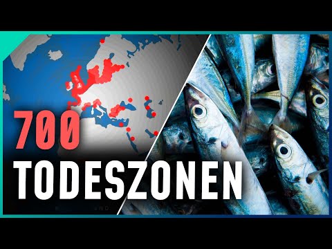 Sauerstoffmangel: DARUM geht dem Meer die Luft aus