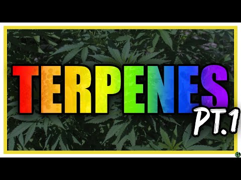 WEED TERPENES: What They Are & How They Affect Us Pt. 1