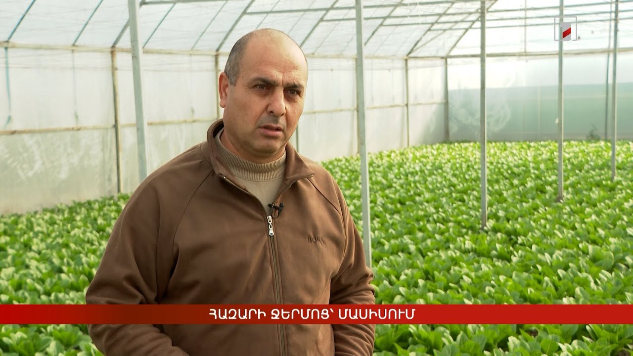 Հազարի ջերմոց՝ Մասիսում