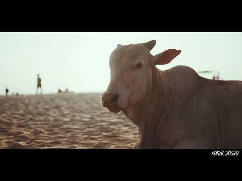 Nihar Moodi Emotion Called Belgaum