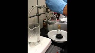 Experiment 1 wash