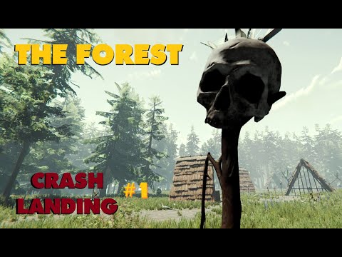Crash Landing - The Forest (Part 1)