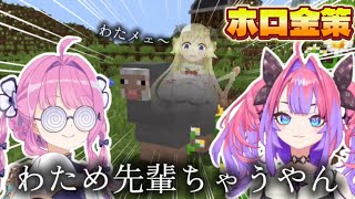【ホロ金策サバイバル2】 わためかと思ったら、野良の羊だった件【ホロライブ/ホロライブ切り抜き/綺々羅々ヴィヴィ/姫森ルーナ】