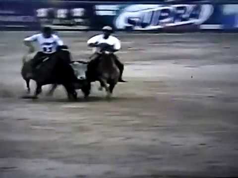 Freio de ouro 2016 Campeã das femeas (7)